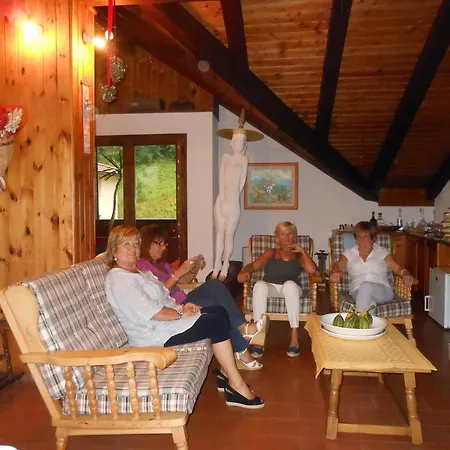 Holiday Verena *